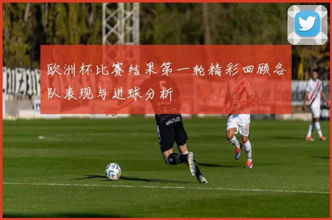 欧洲杯比赛结果第一轮精彩回顾各队表现与进球分析